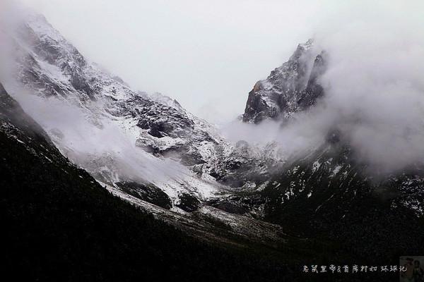 “国风”的泼天富贵 谁接住了?